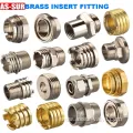 Brass CPVC Pex PPR Insert Fitting